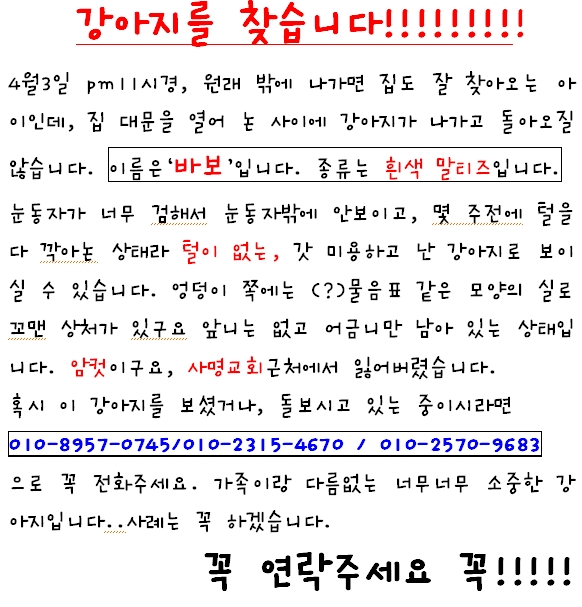 [수원장안구]우리 바보 찾아주세요..