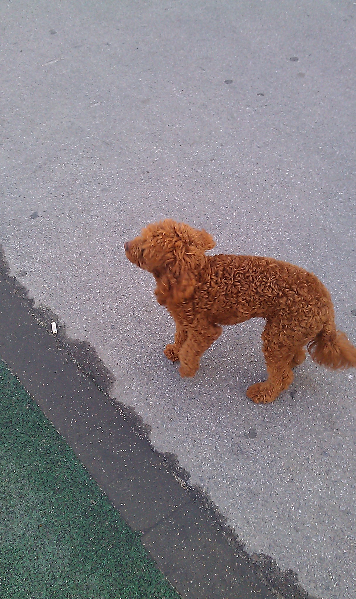 양주시 덕계동 리치마트 앞 버스정류소 