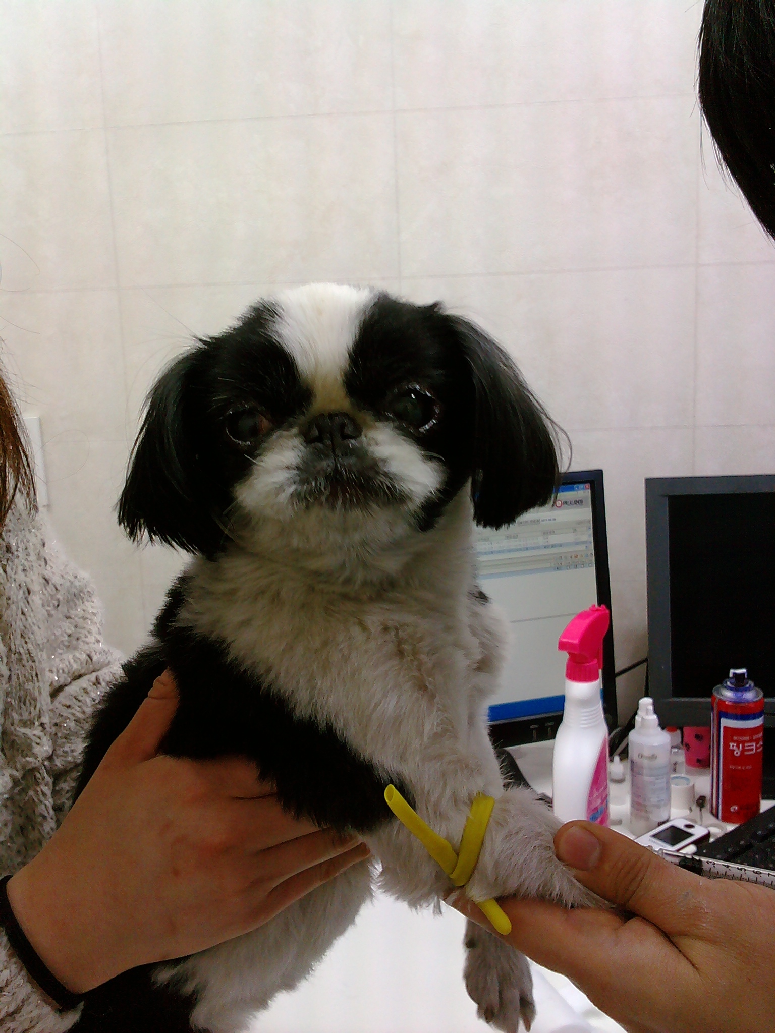 아이를 보호하고 있습니다. 