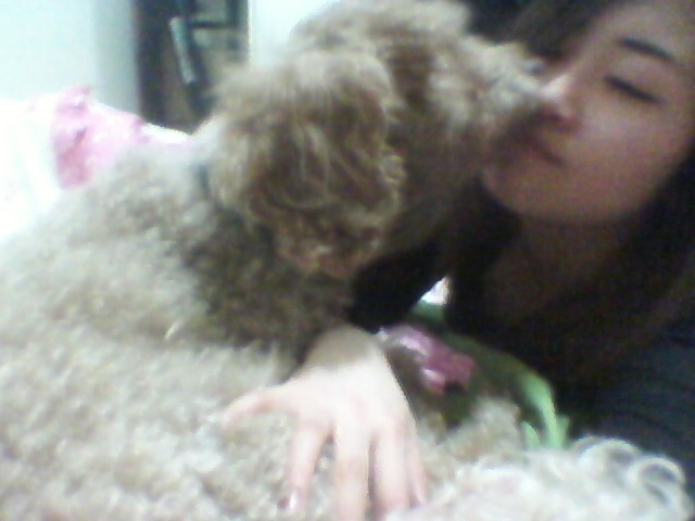 우리 다미가 보고싶어요..