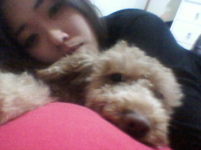 우리 다미가 보고싶어요..