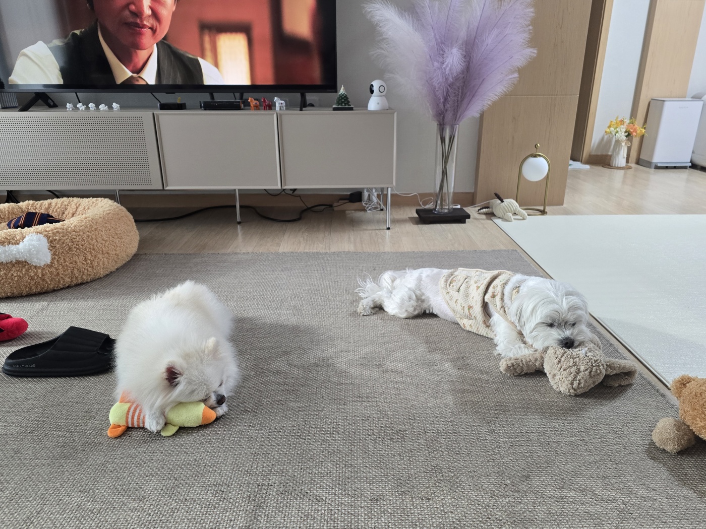 햇밤이와의 우리 세가족 이야기