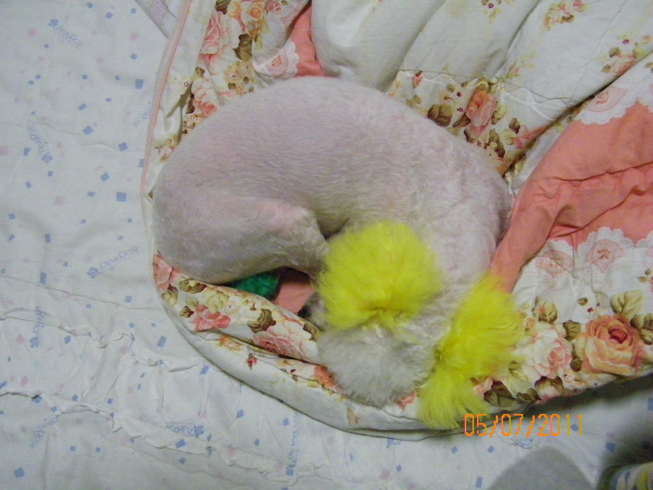 은비를 찾아요.