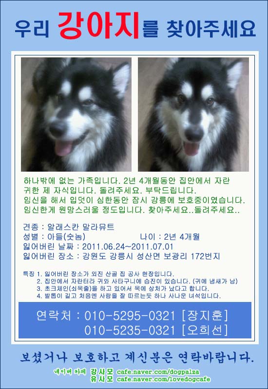 임신중입니다. 부탁드립니다.