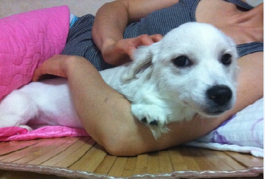 7/2 압구정동 2번출구 기아자동차 근처