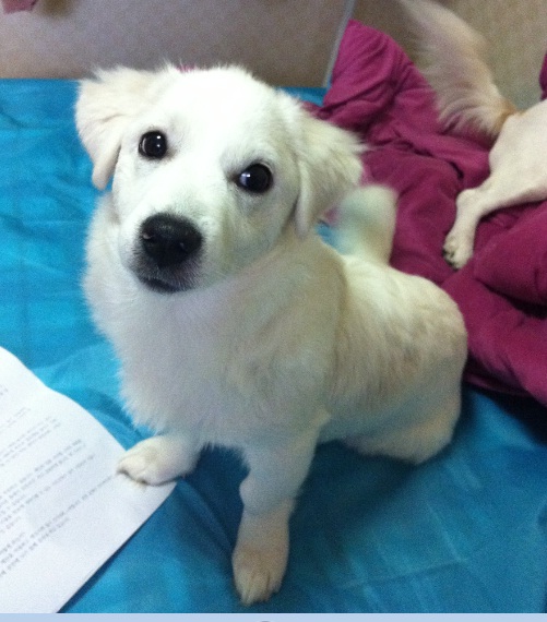 7/2 압구정동 2번출구 기아자동차 근처