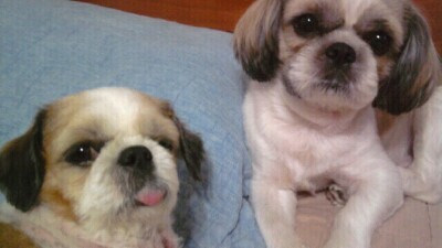 별이좀찾아주세요