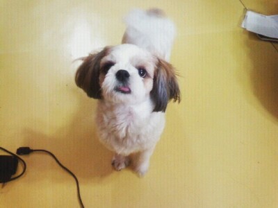 별이좀찾아주세요