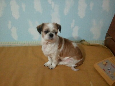 별이좀찾아주세요