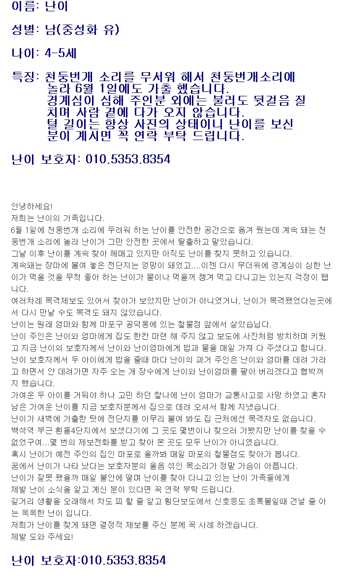 도와주세요! 6월1일 고양시 덕양구 원흥동에서 가출한 믹스견 난이를 찾고 있습니다
