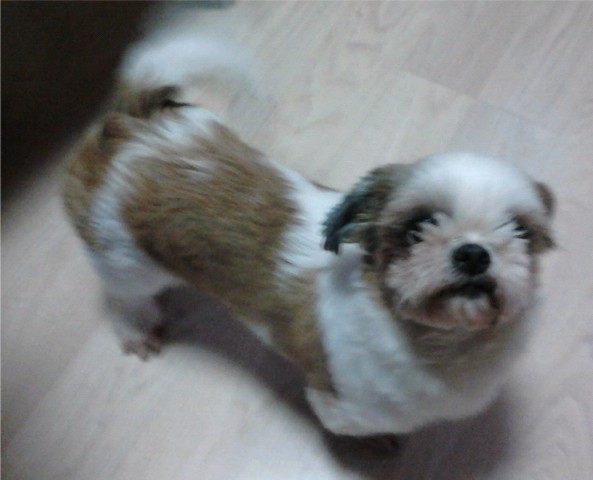 서대문구 연희동(사천교근처) 졸리사진이예요~