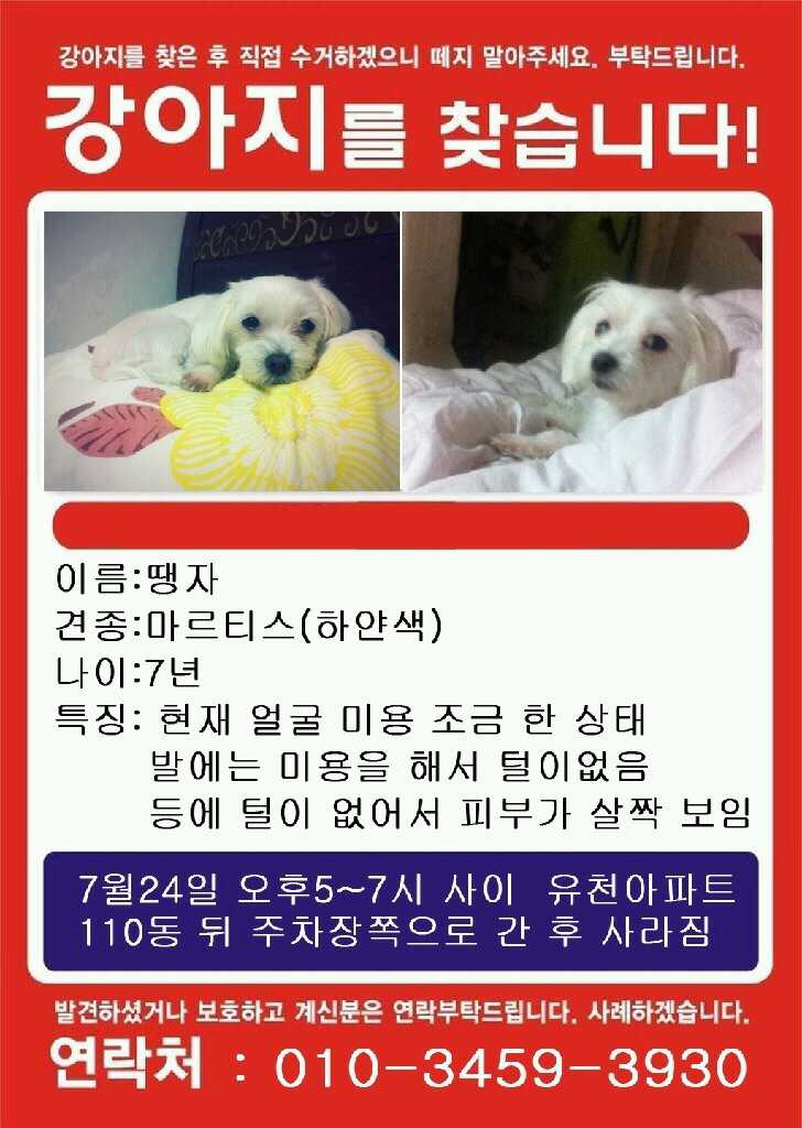 땡자를 찾습니다.인천연수동유천아파트