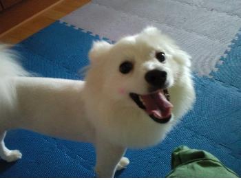 동두천시 송내주공4단지