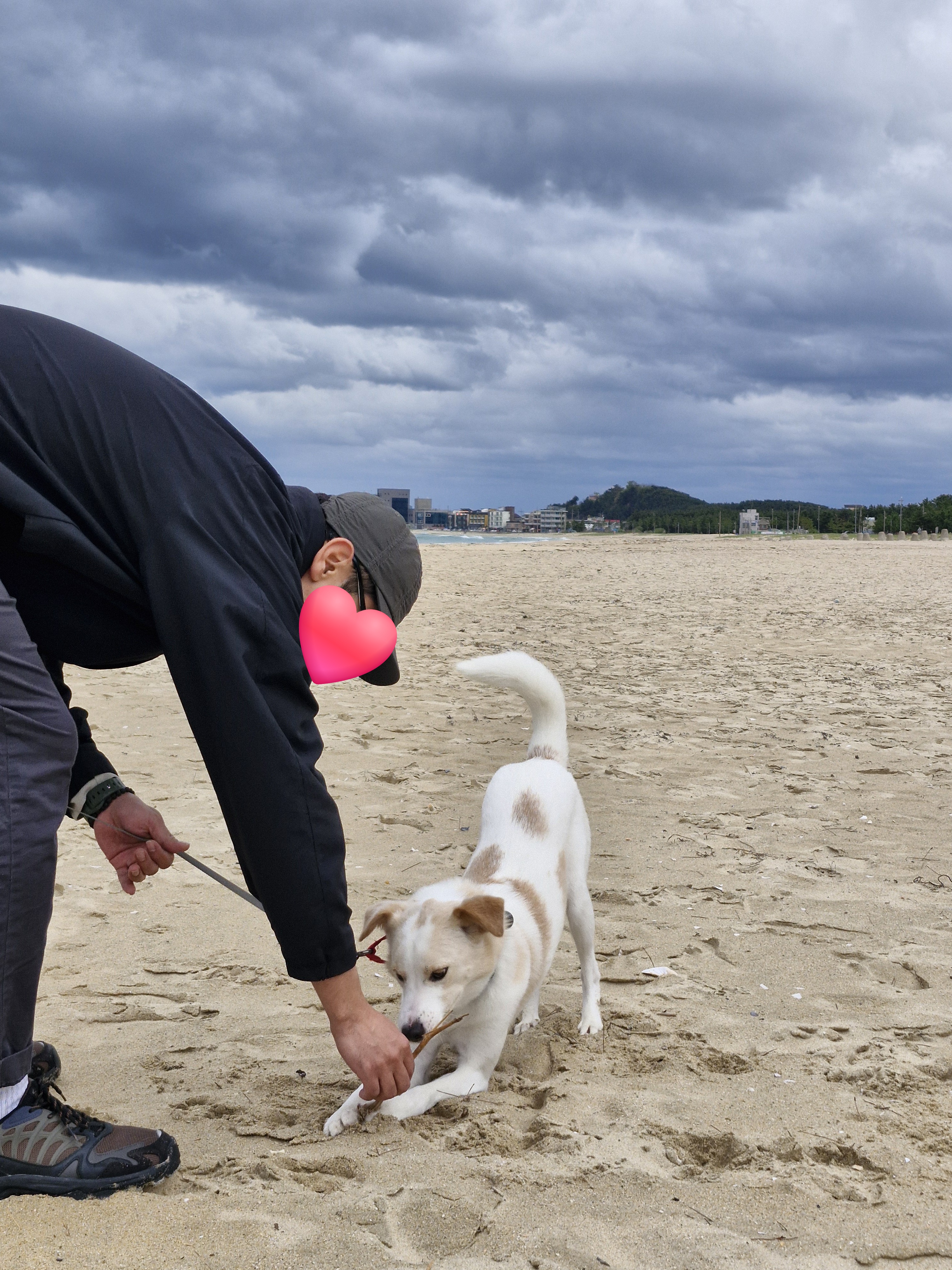 구구(구 건빛) 입양 2년차 후기입니다🧡