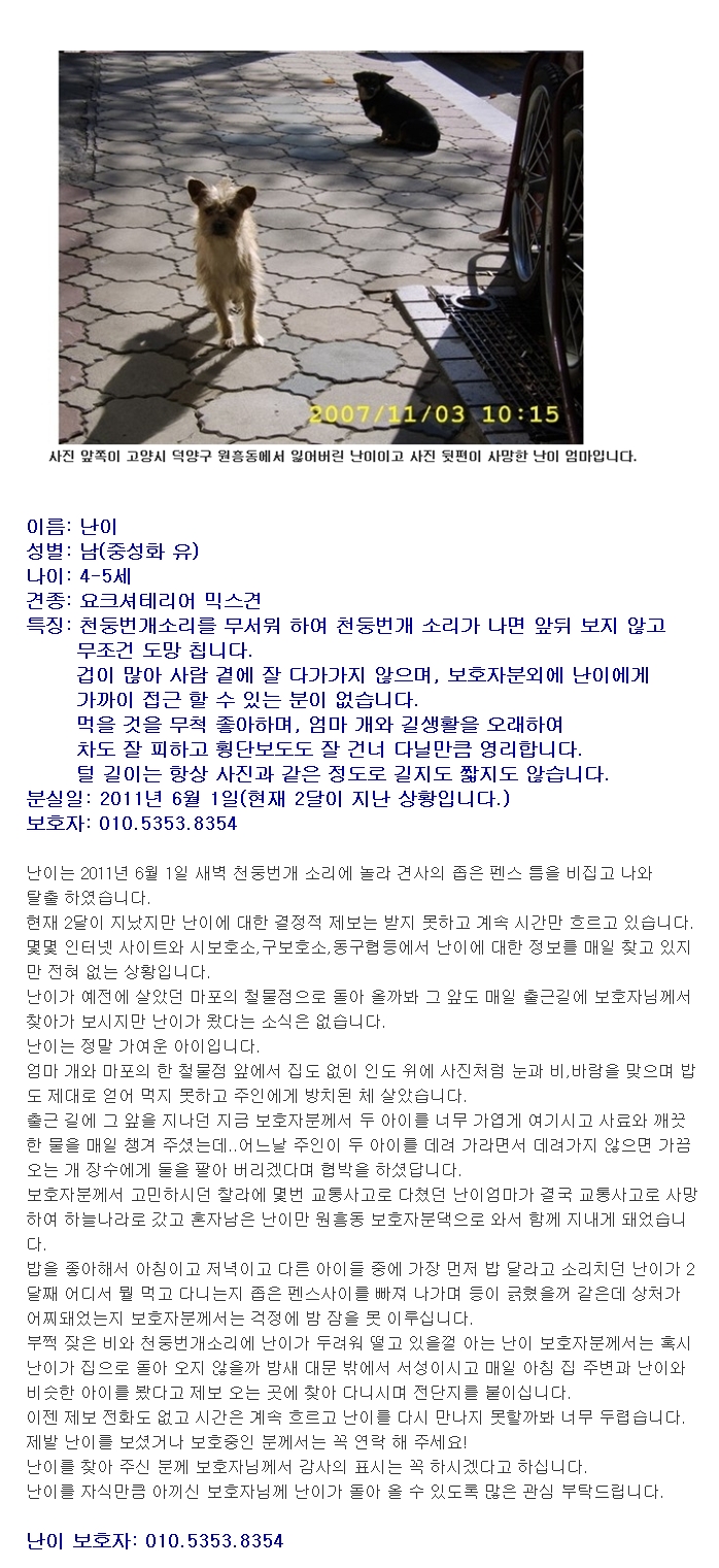 고양시덕양구원흥동에서가출한믹스견난이제보부탁드립니다.