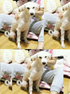 8월1일 구로구 개봉동 동인아파트앞에서