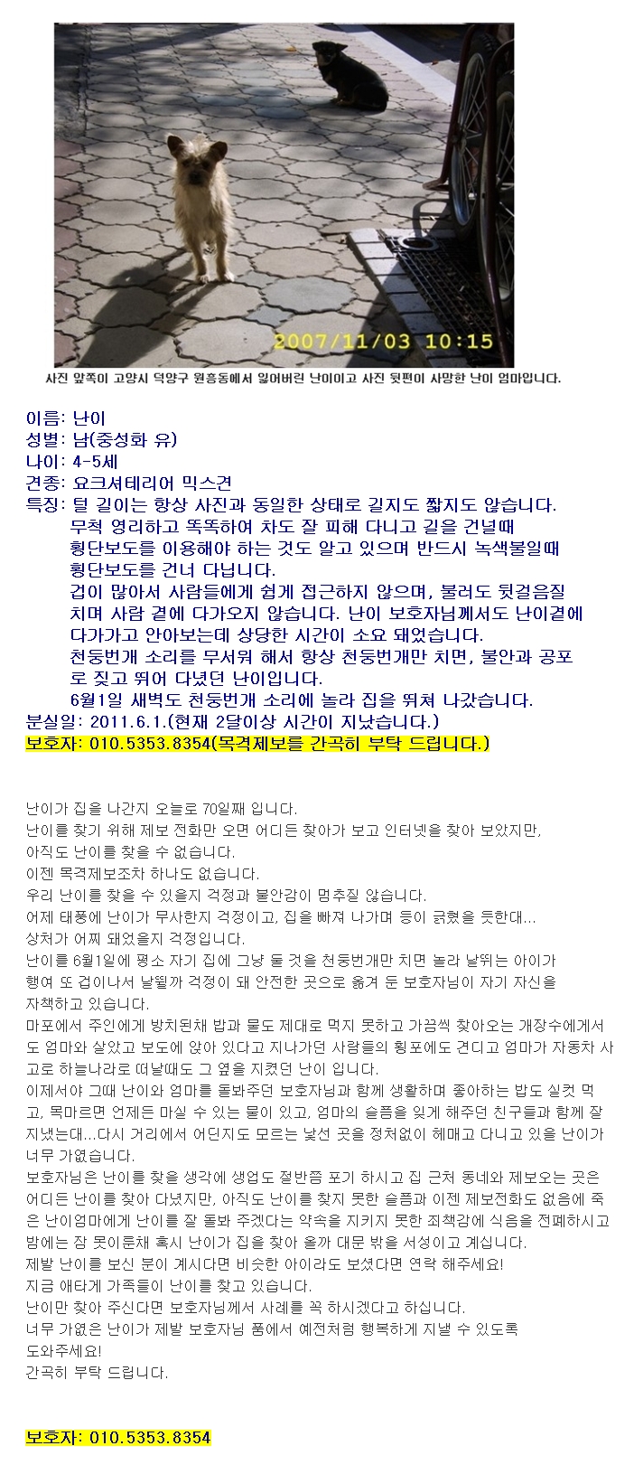 고양시 덕양구 원흥동에서 집을 나간 믹스견 난이 제보 부탁 드립니다!