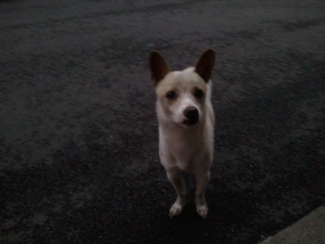 도와주세요 ㅠ.ㅠ