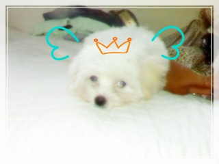 중랑구 면목5동 근처 오후 2시경 9월24일