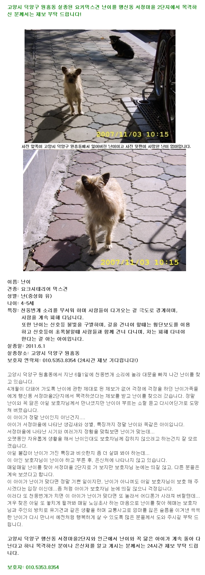 고양시 덕양구 원흥동 실종견 난이를 행신동 서정마을에서 목격하신 분 제보 부탁 드립니다!