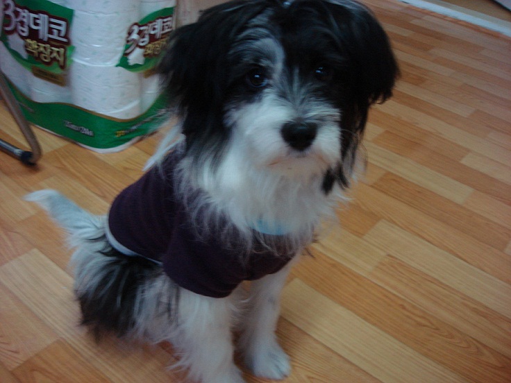 우리 순자 좀 찾아 주세요