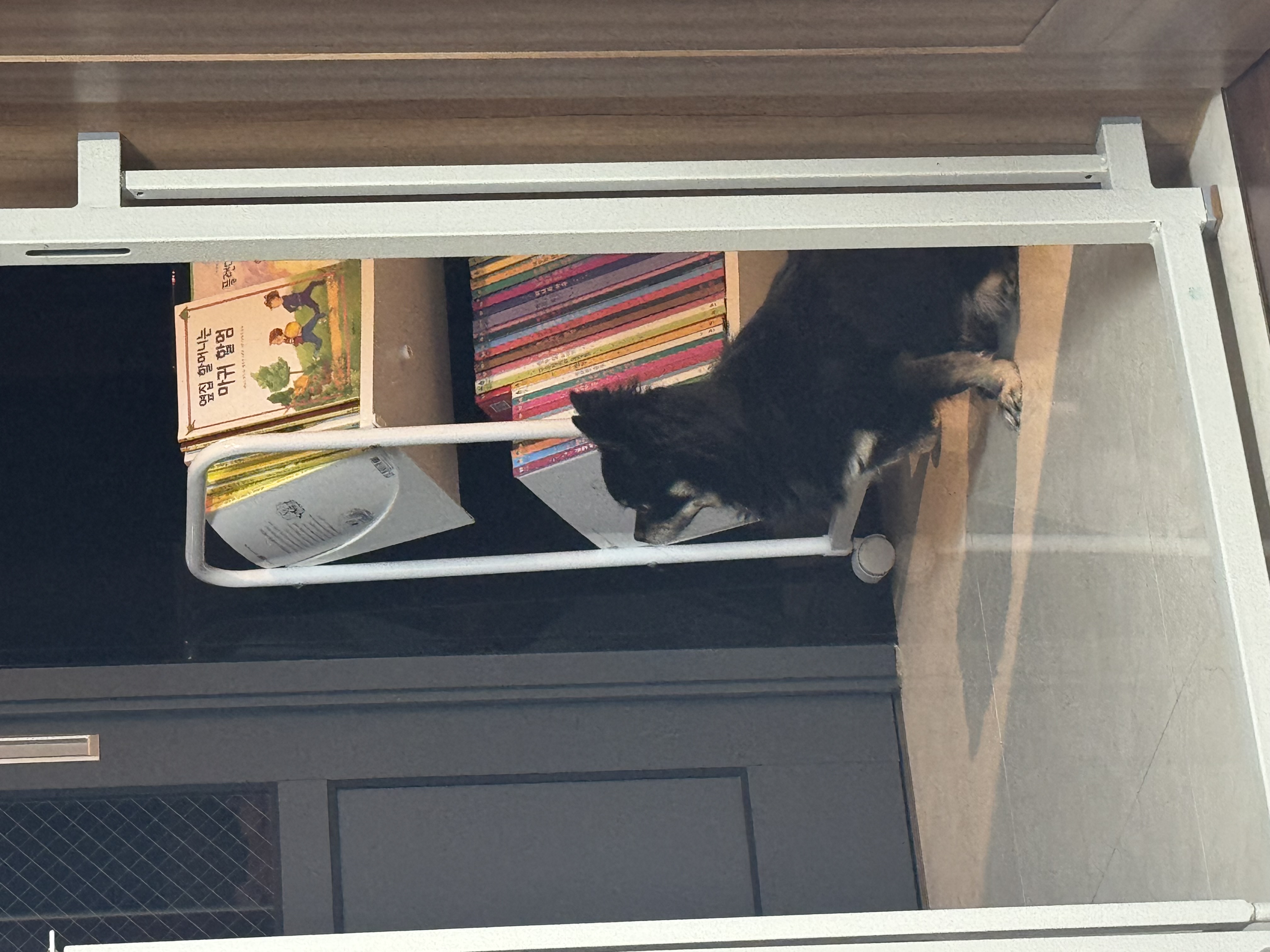 랩몬 소식 올려요~^^(임모7개월차)