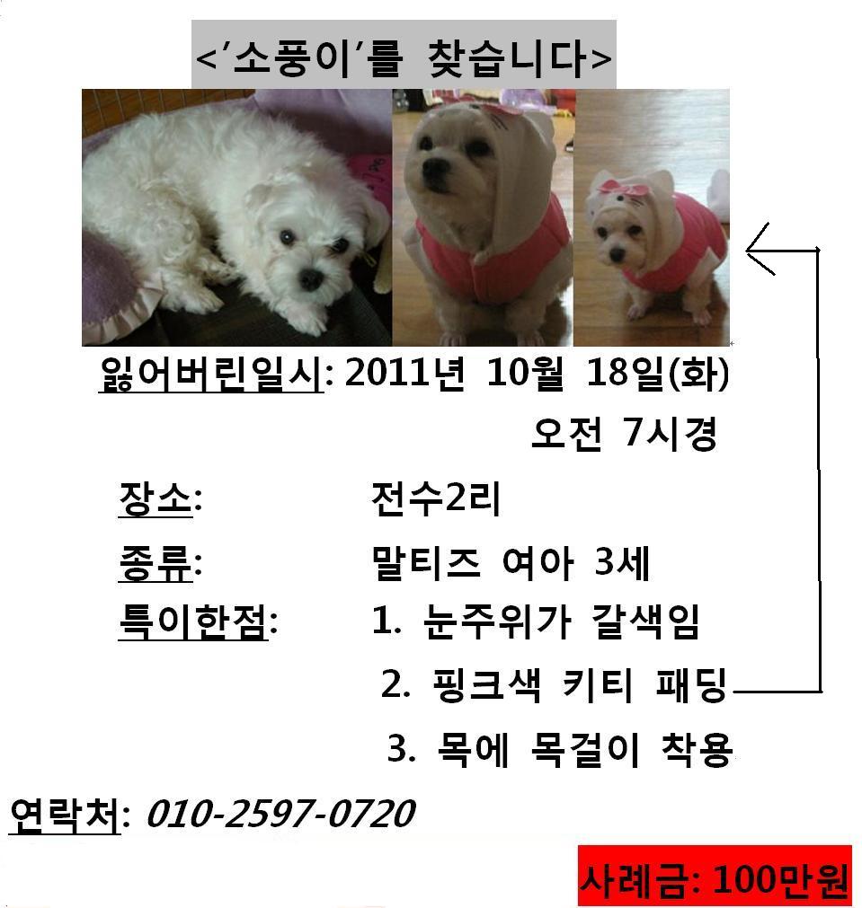 양평군 전수2리에서 잃어버린 소풍이 찾아요