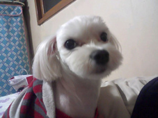 봉천동 마티즈 여아