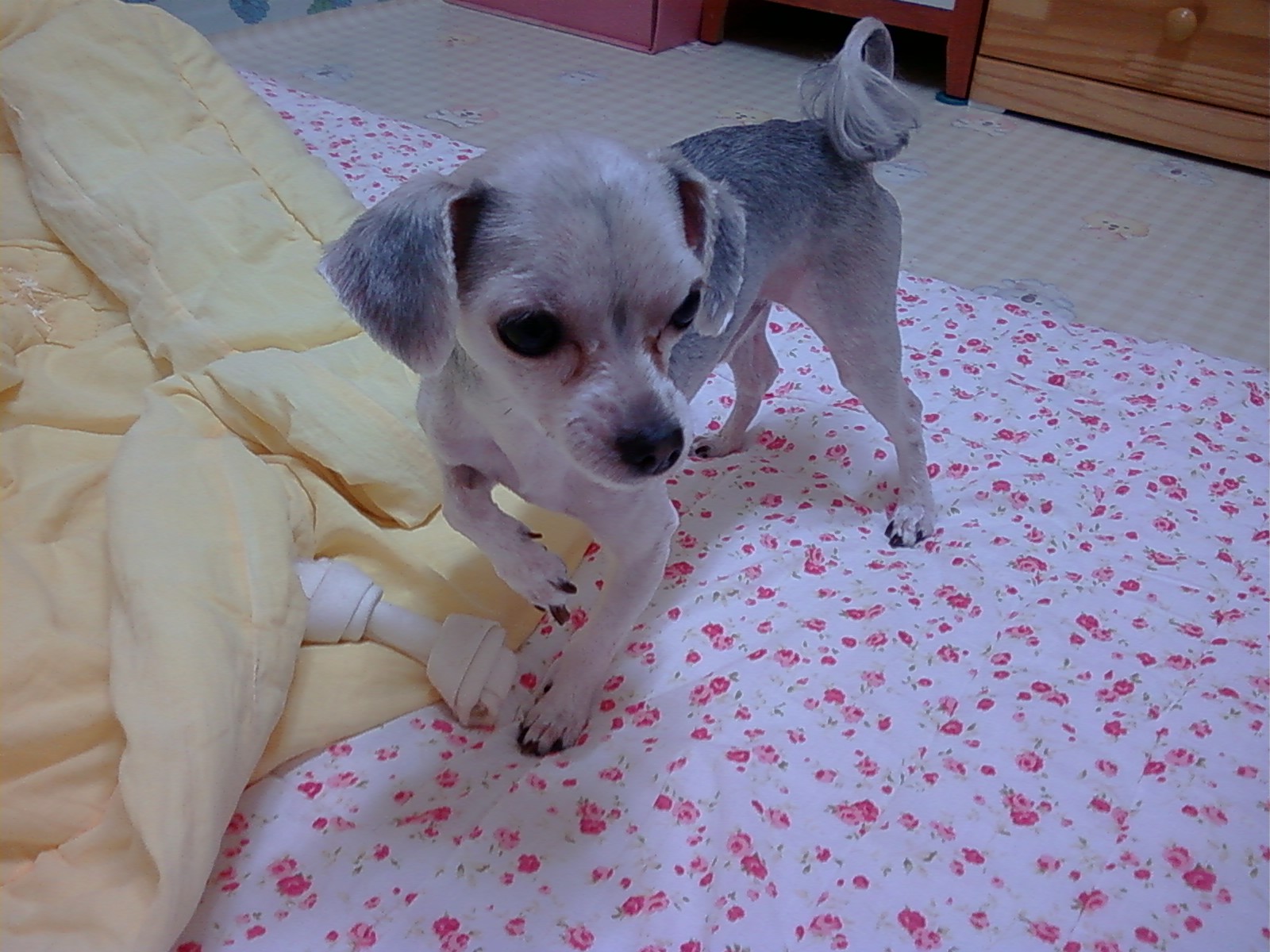 승리를  찾아주세요