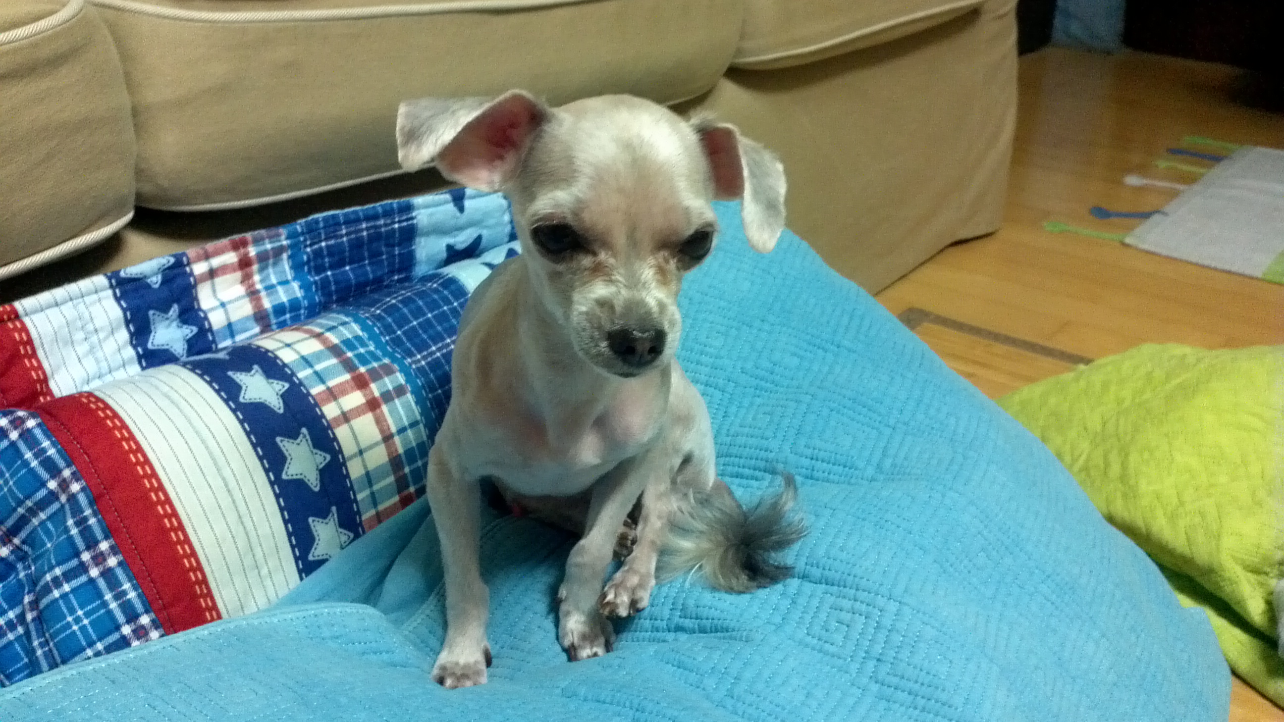 승리를  찾아주세요