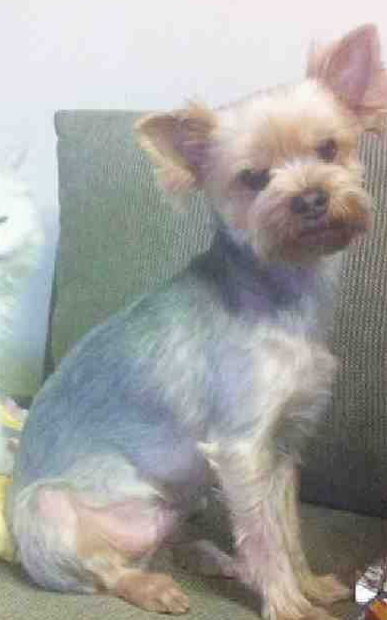 강북구 미아역 주변..