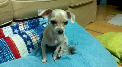 용인시 기흥구 승리를 찾아주세요.