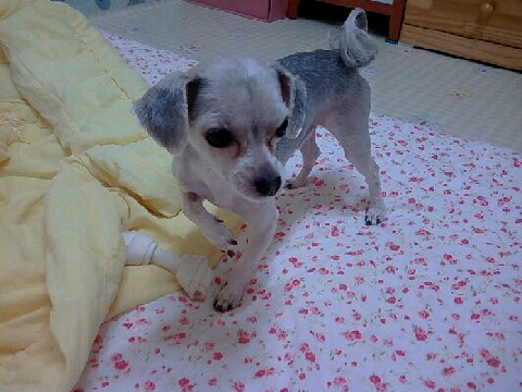 용인시 기흥구 승리를 찾아주세요