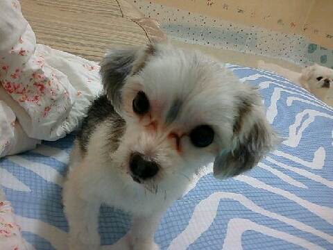 용인시 기흥구 승리를 찾아주세요