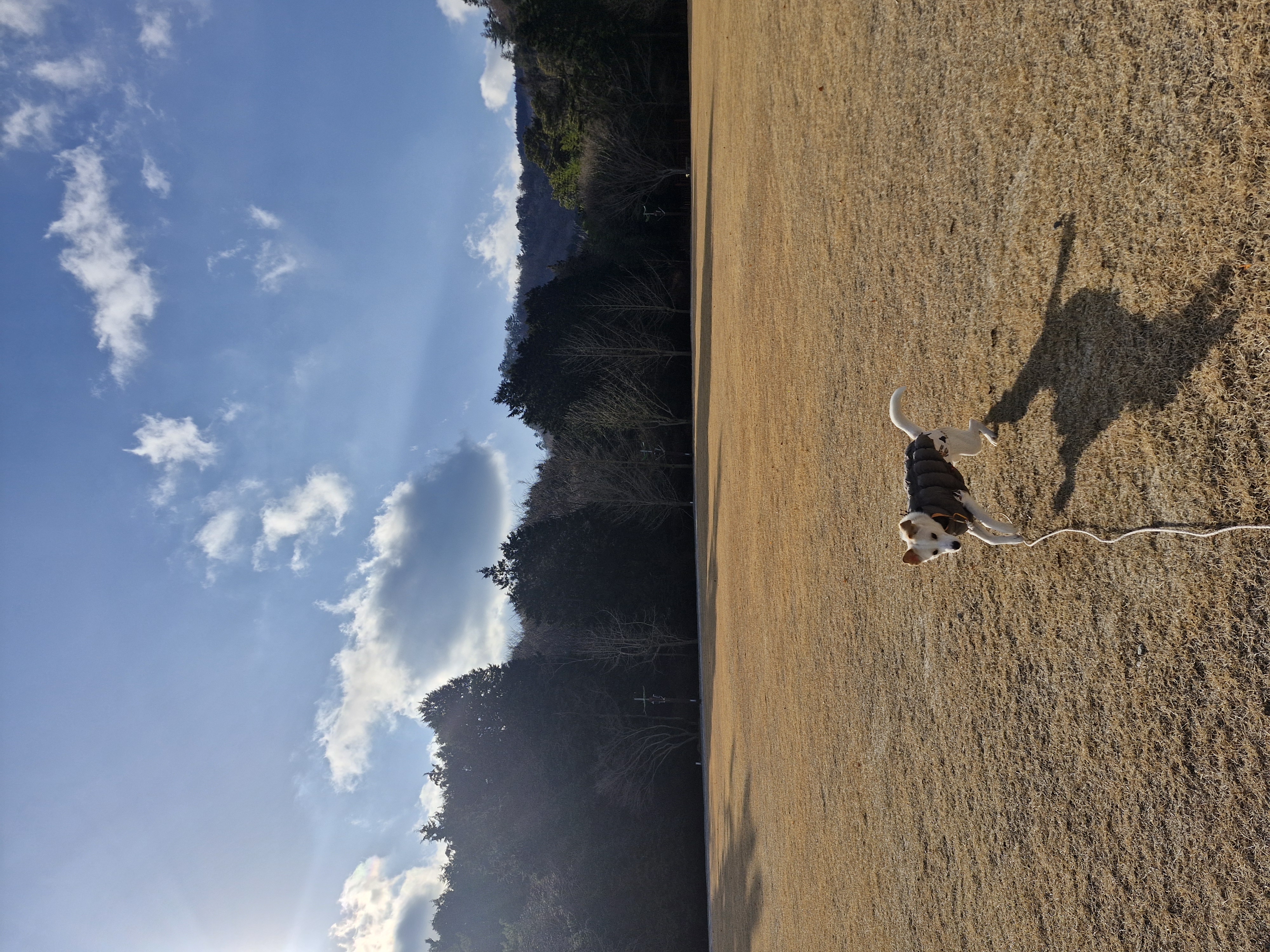 구구(구 건빛) 입양 2년차 후기입니다🧡