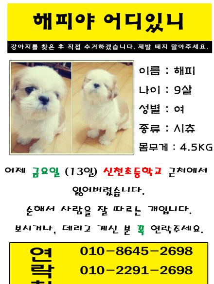 해피야 어디갔니