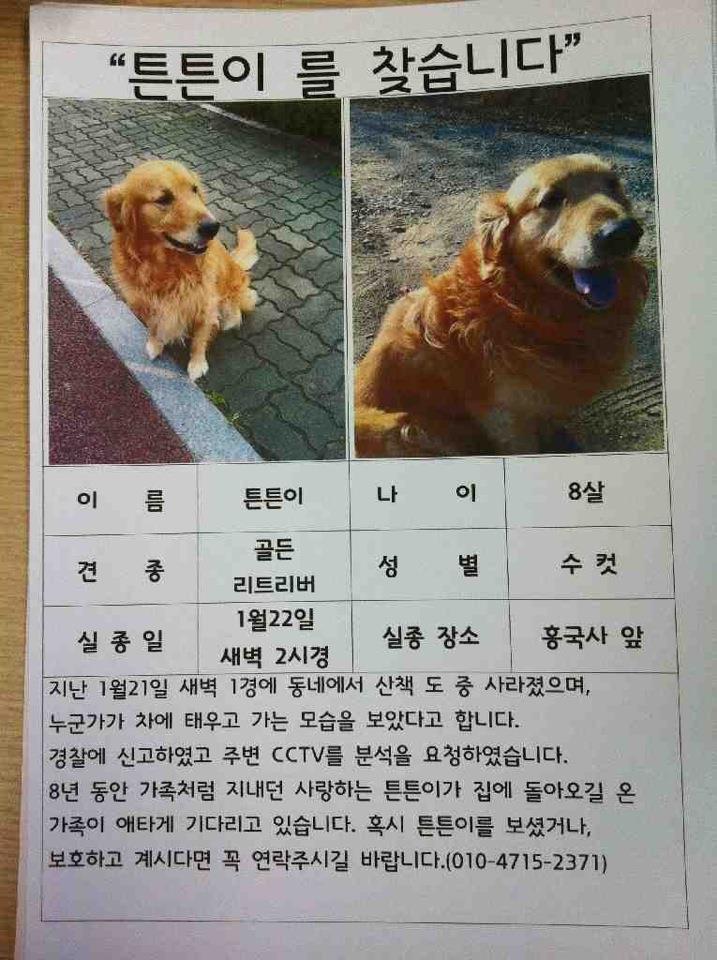 튼튼이를 찾아주세요