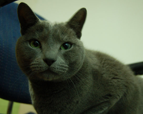 (돌아왔습니다)서울시 송파구 풍납동