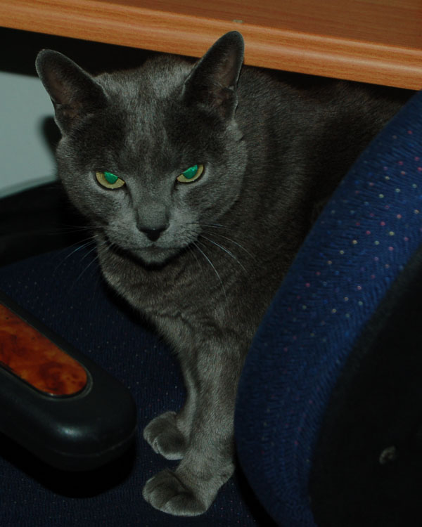 (돌아왔습니다)서울시 송파구 풍납동