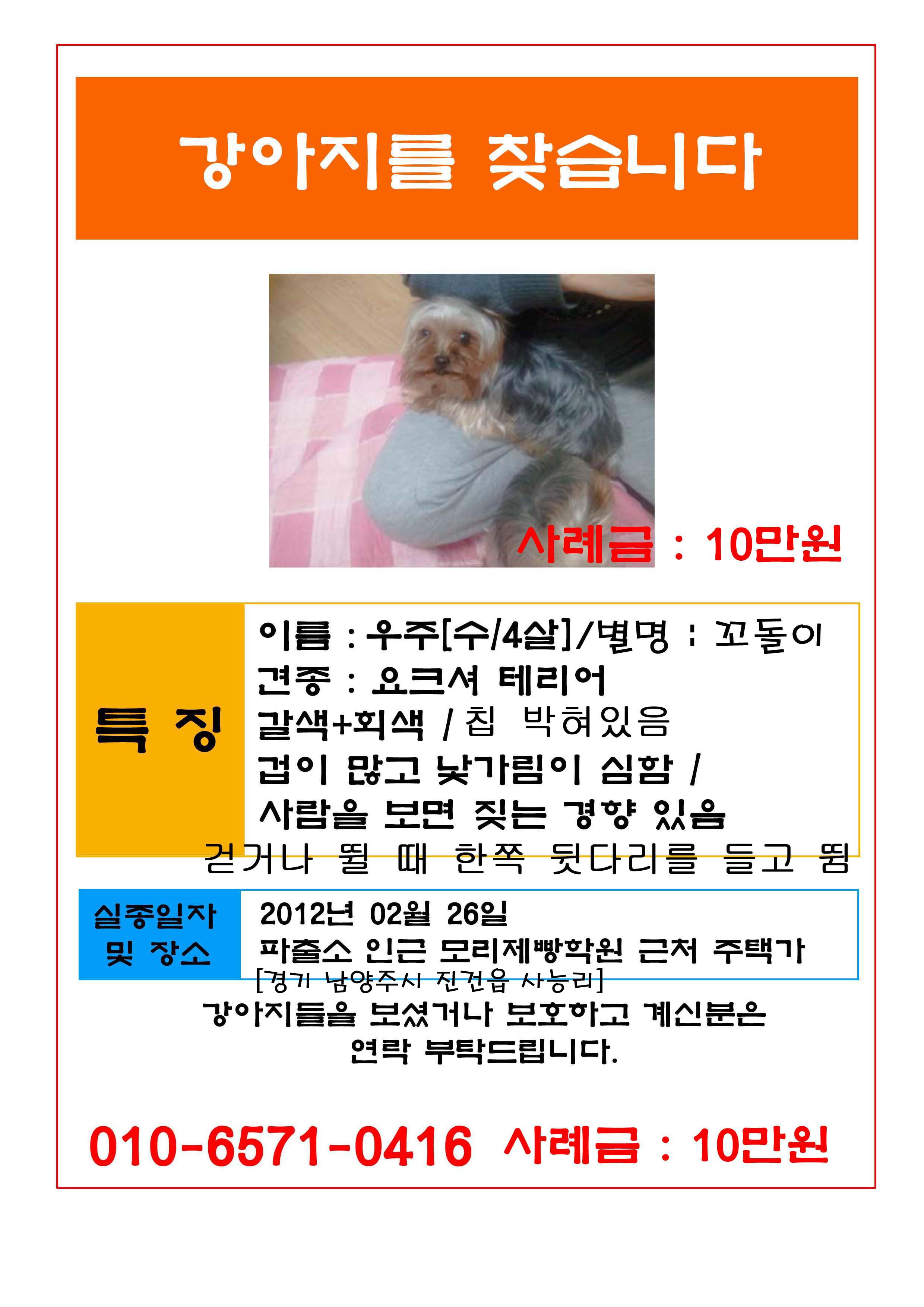 남양주 진건읍 사능리 요크셔 수컷 찾아요