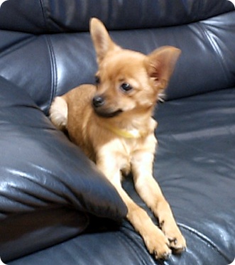 하나를 찾습니다...(긴 사연...읽어주세요)