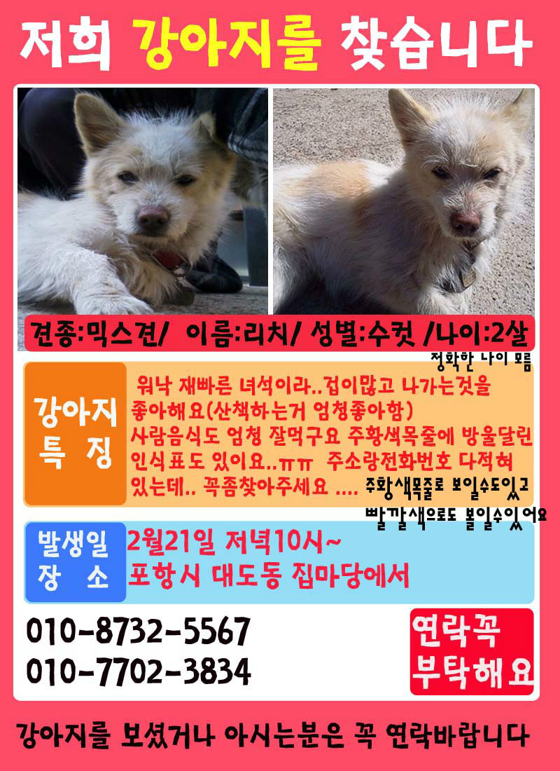 (포항)저이 리치를 찾습니다(전단지 내용 추가)