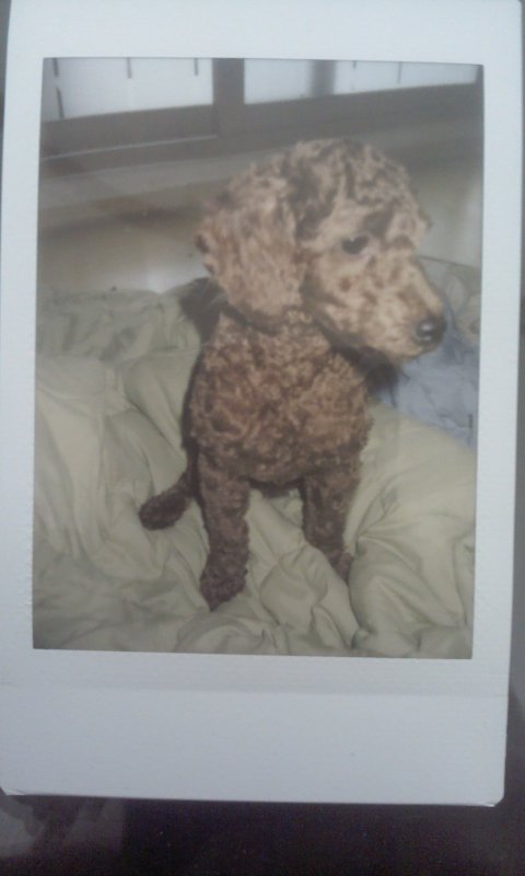 저희 메카를 찾아요