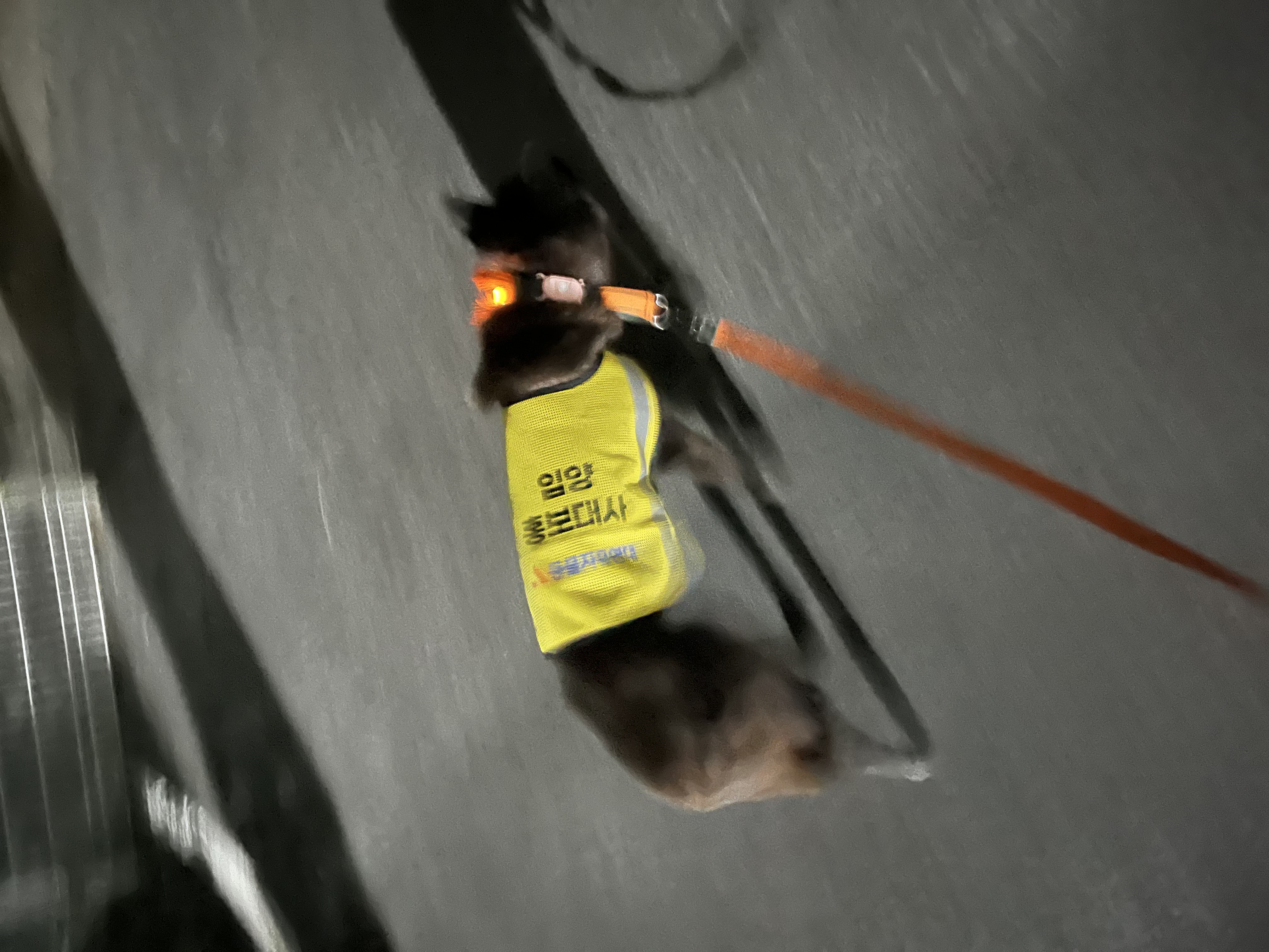 반달이의 즐거운 집생활