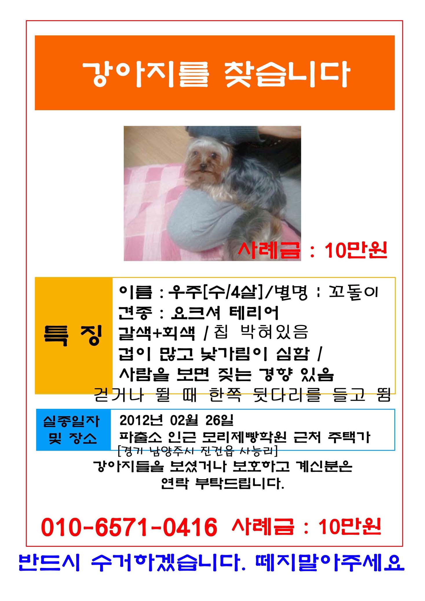 경기 남양주 진건읍 요크셔 남아 찾아요