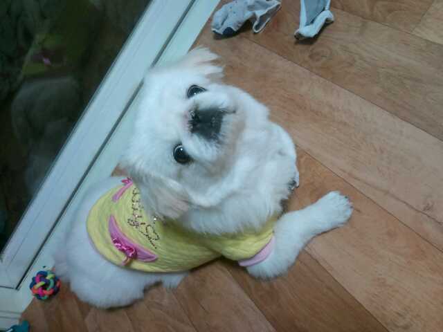 안산 고잔1동 원고잔공원근처