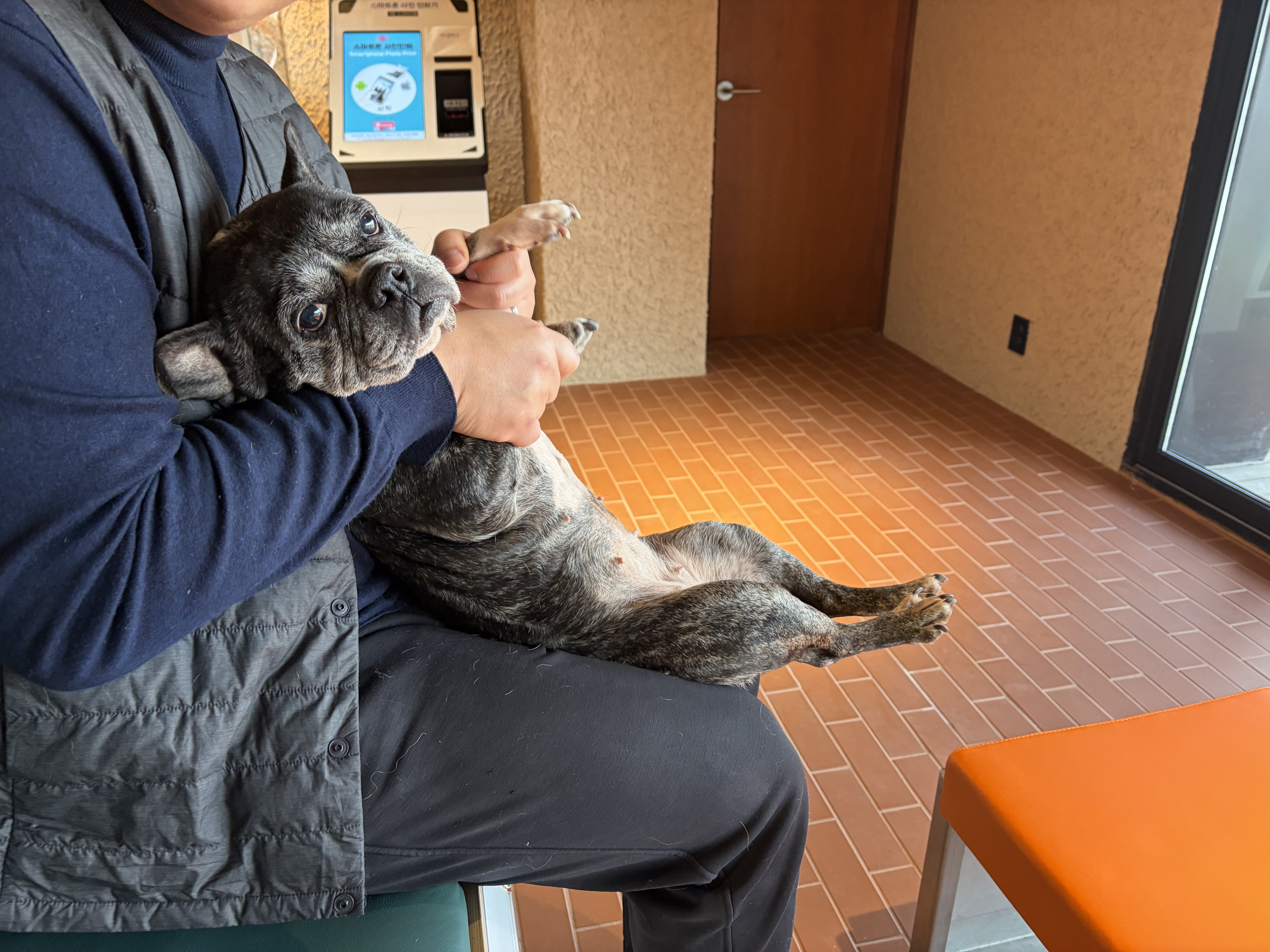 호이네 뽀아네입니다 ^^