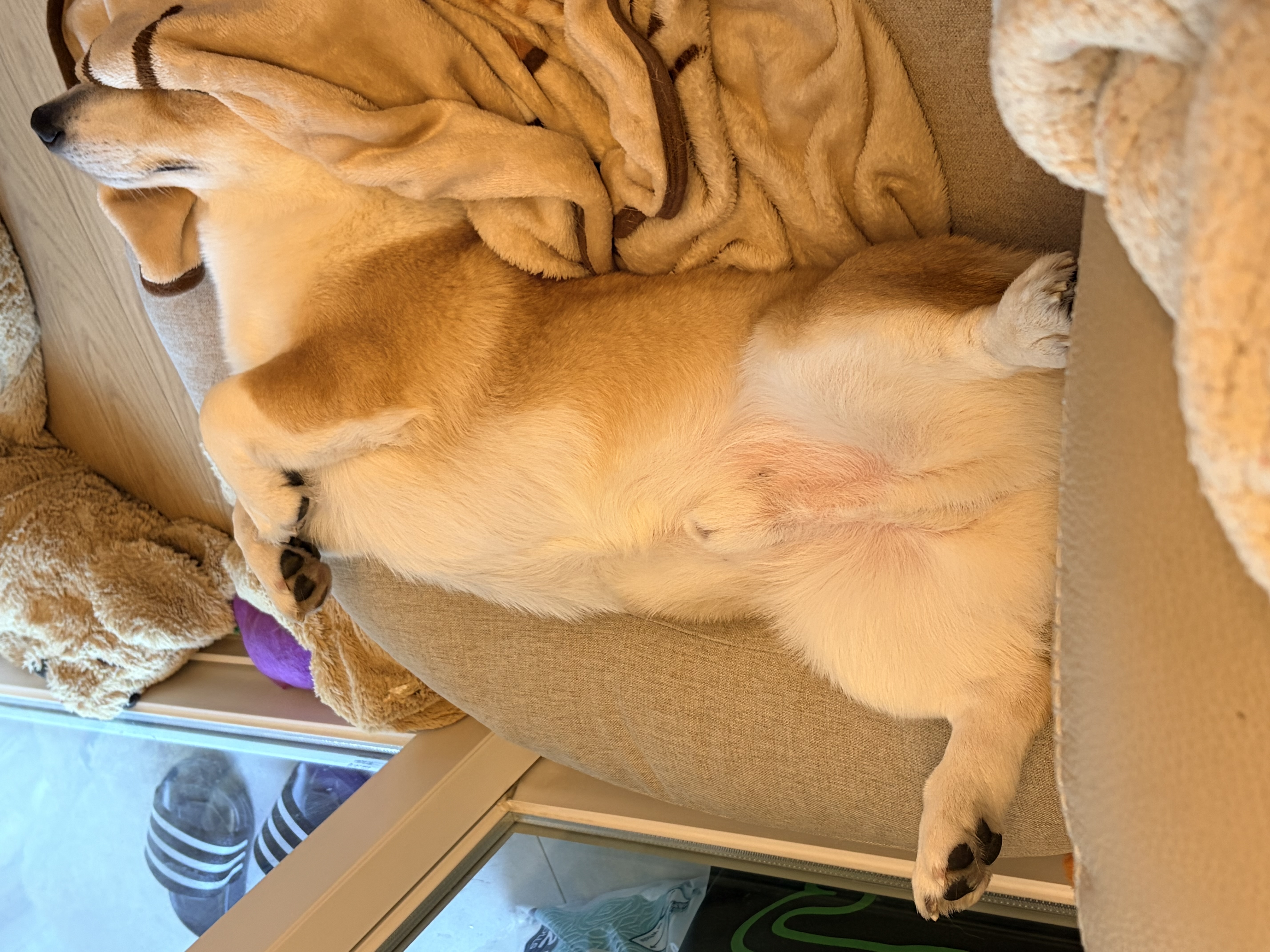 무티(구.수코) 2년차 근황