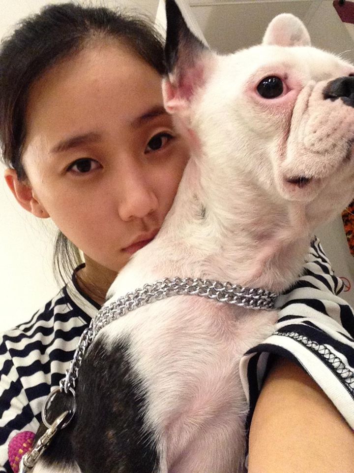 대구 가창에서 프랜치 불독 울라를 찾습니다.