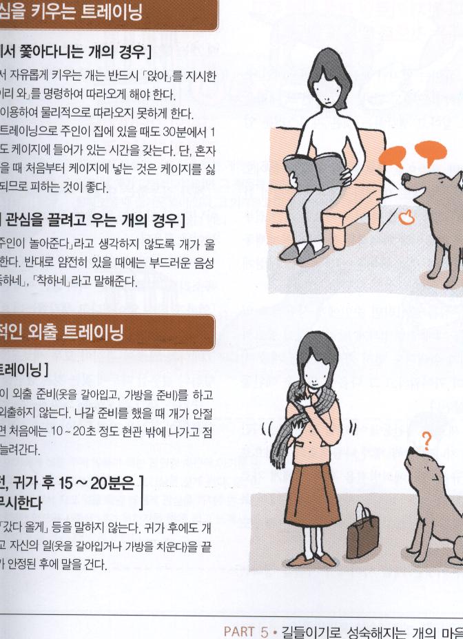 [re]분리불안으로 인한  말썽......